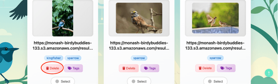 Delete & Bulk Operations screenshot