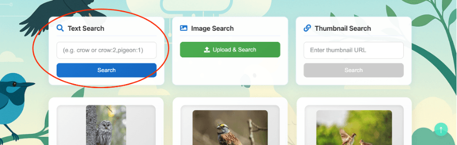 Search & Explore Files screenshot