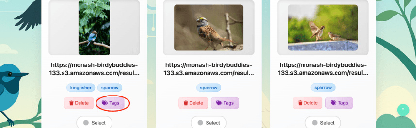 Modify & Manage Tags screenshot